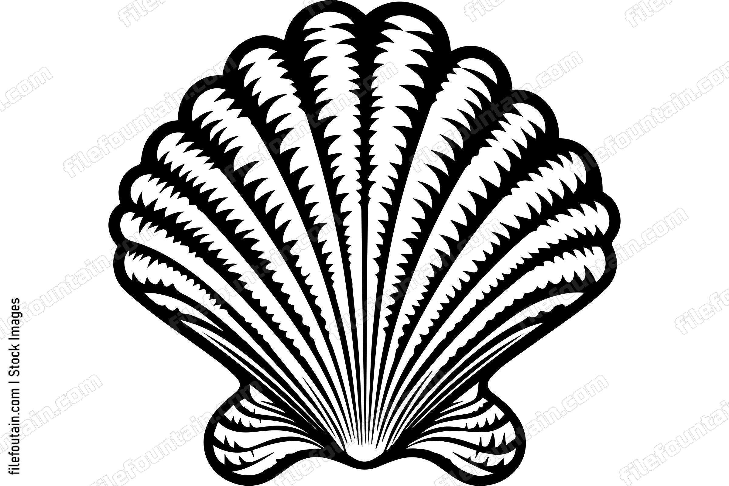 Seashell