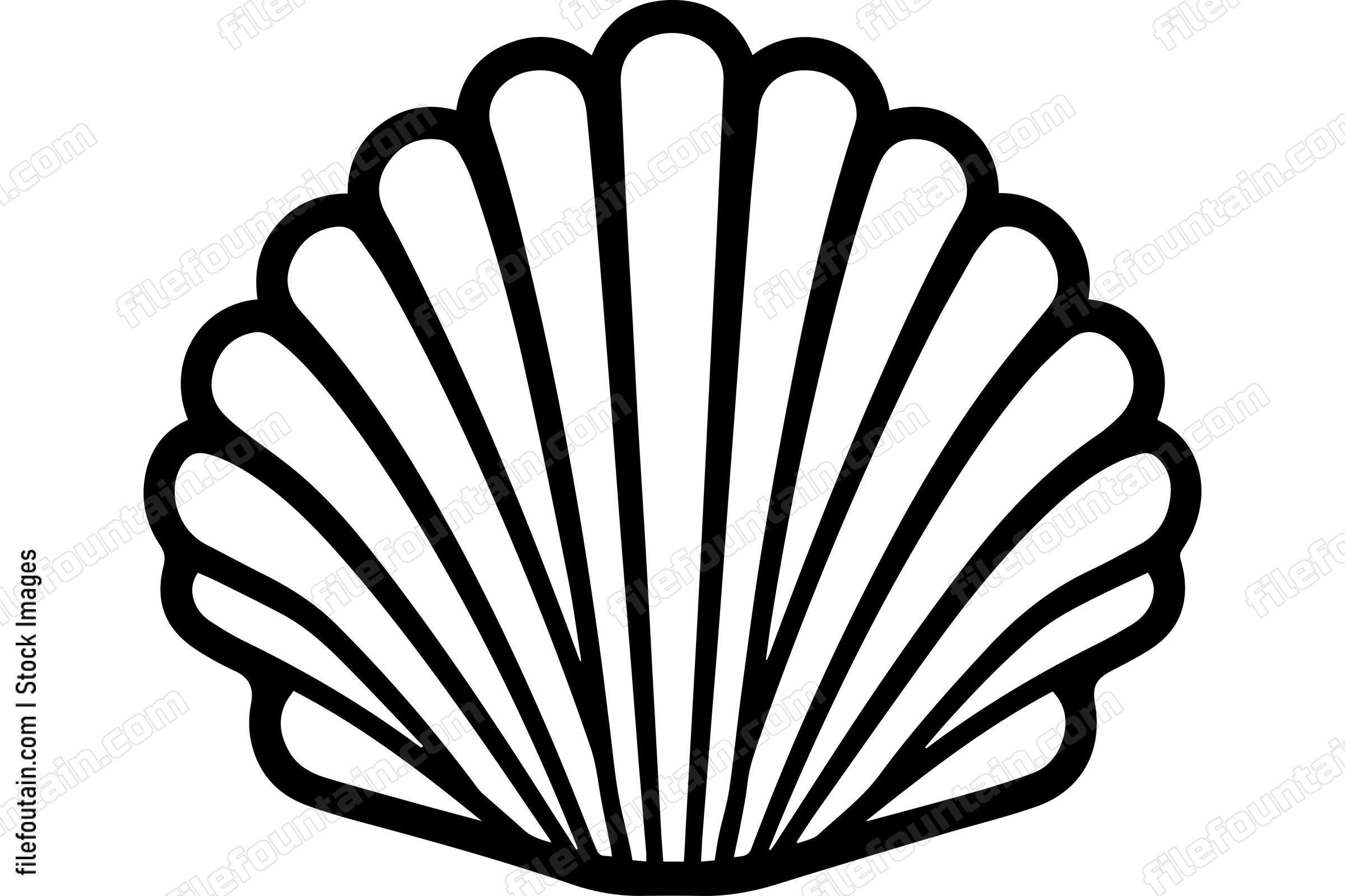 Seashell