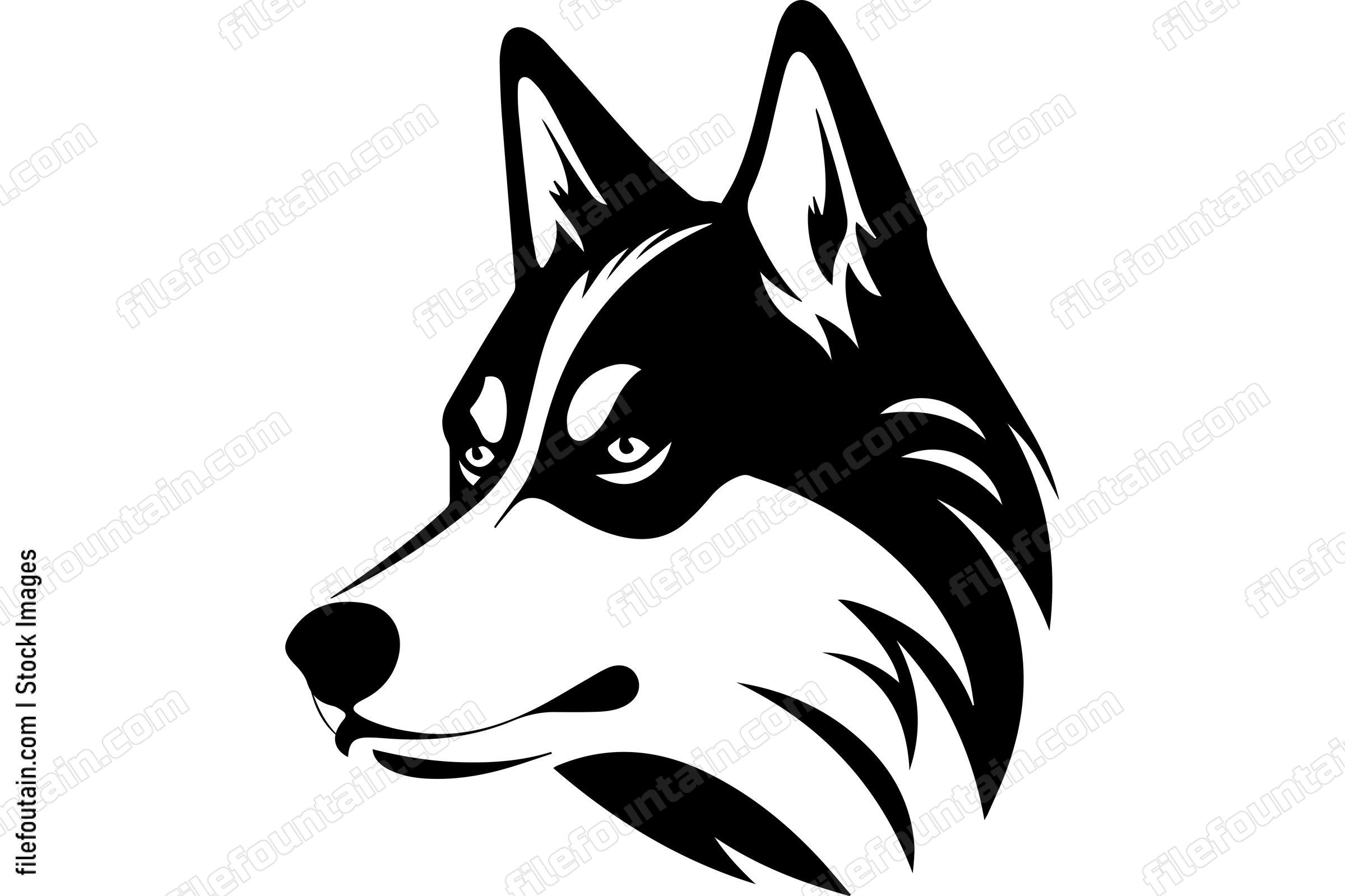 Siberian Husky