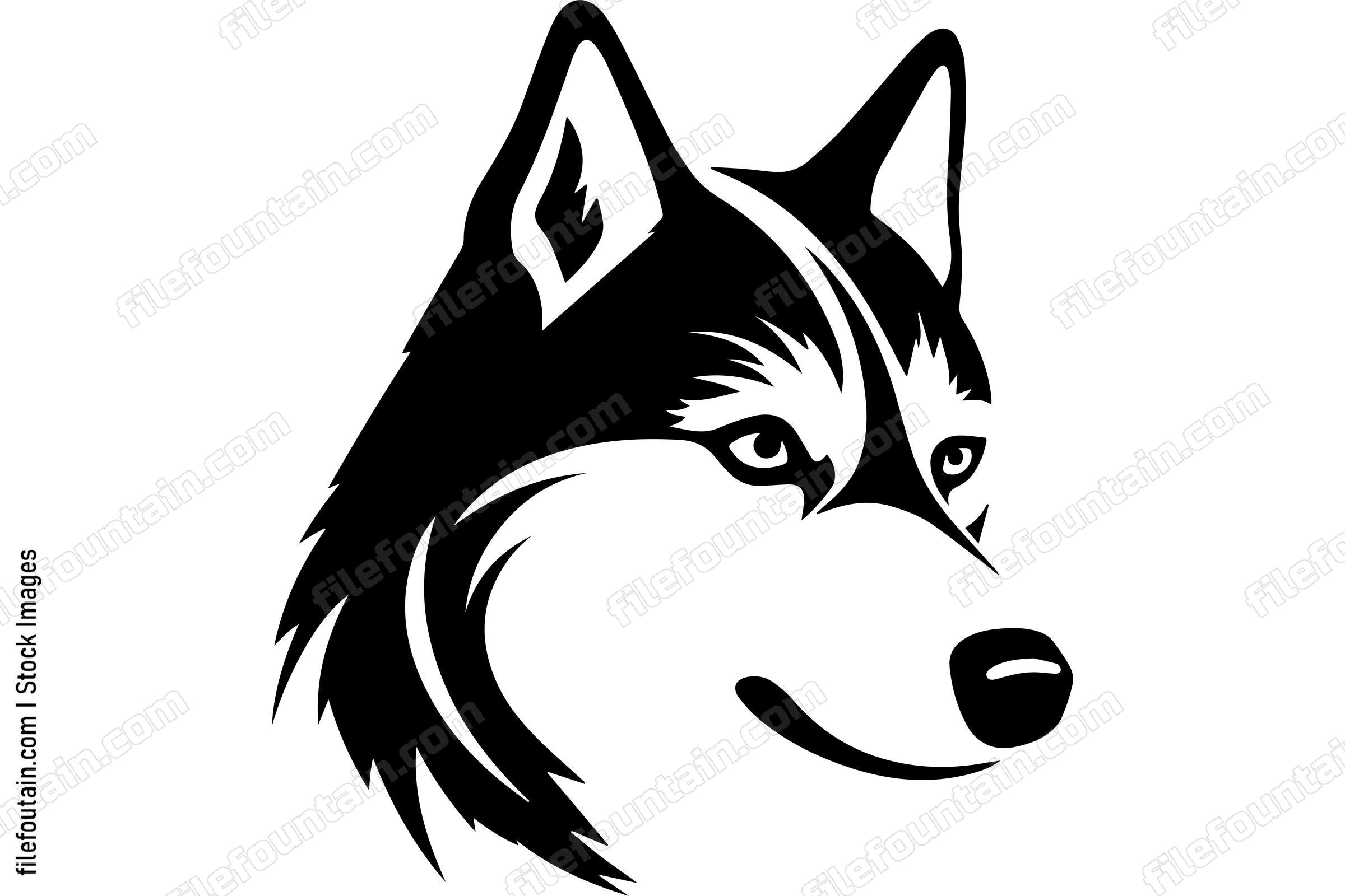Siberian Husky