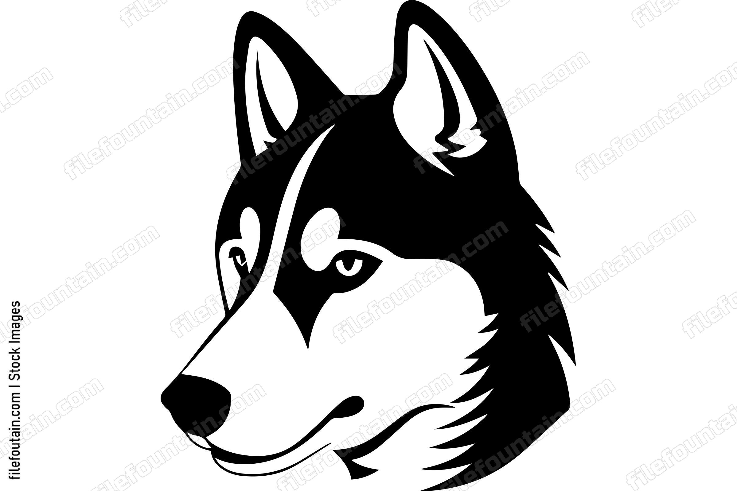 Siberian Husky