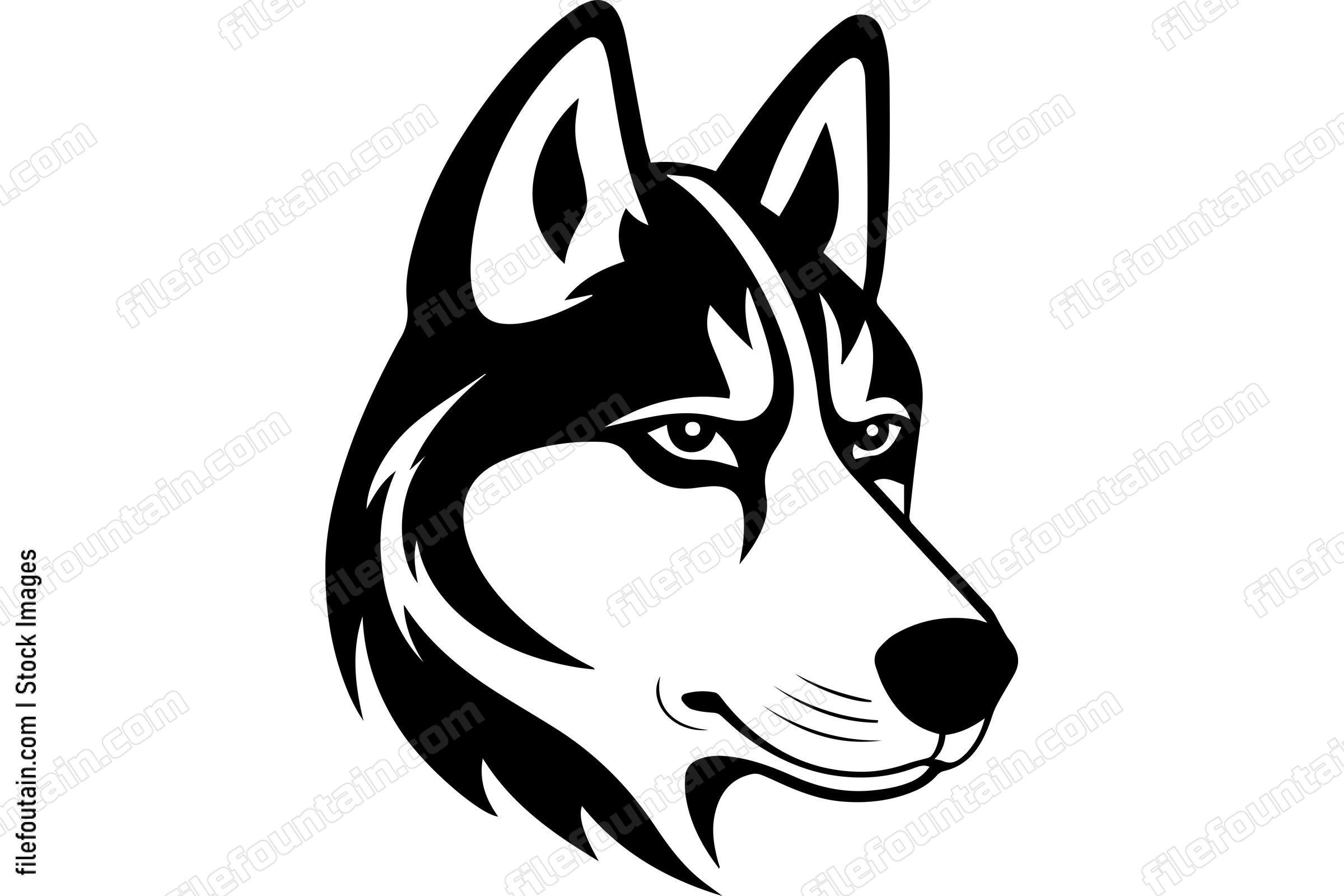 Siberian Husky