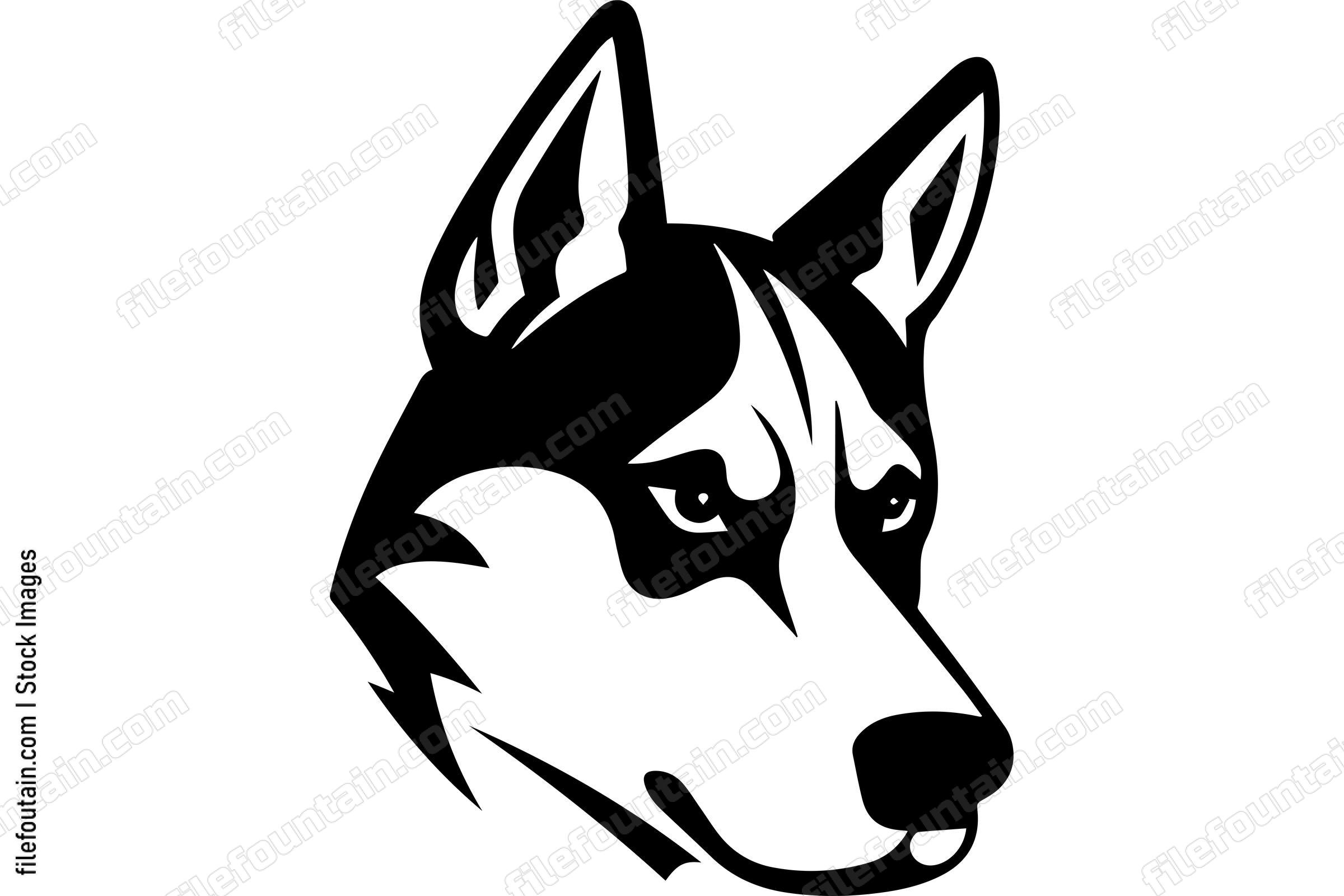 Siberian Husky