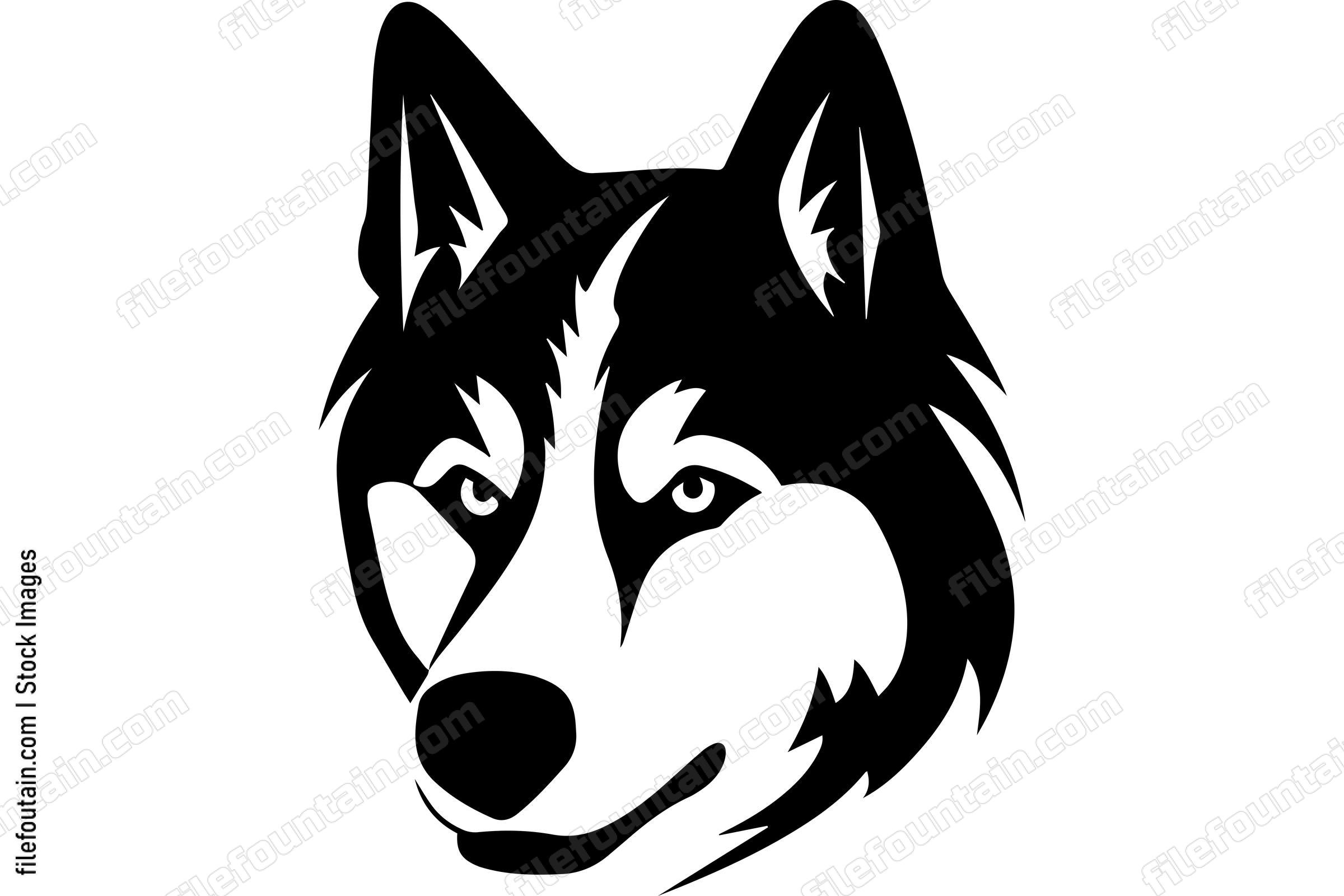 Siberian Husky