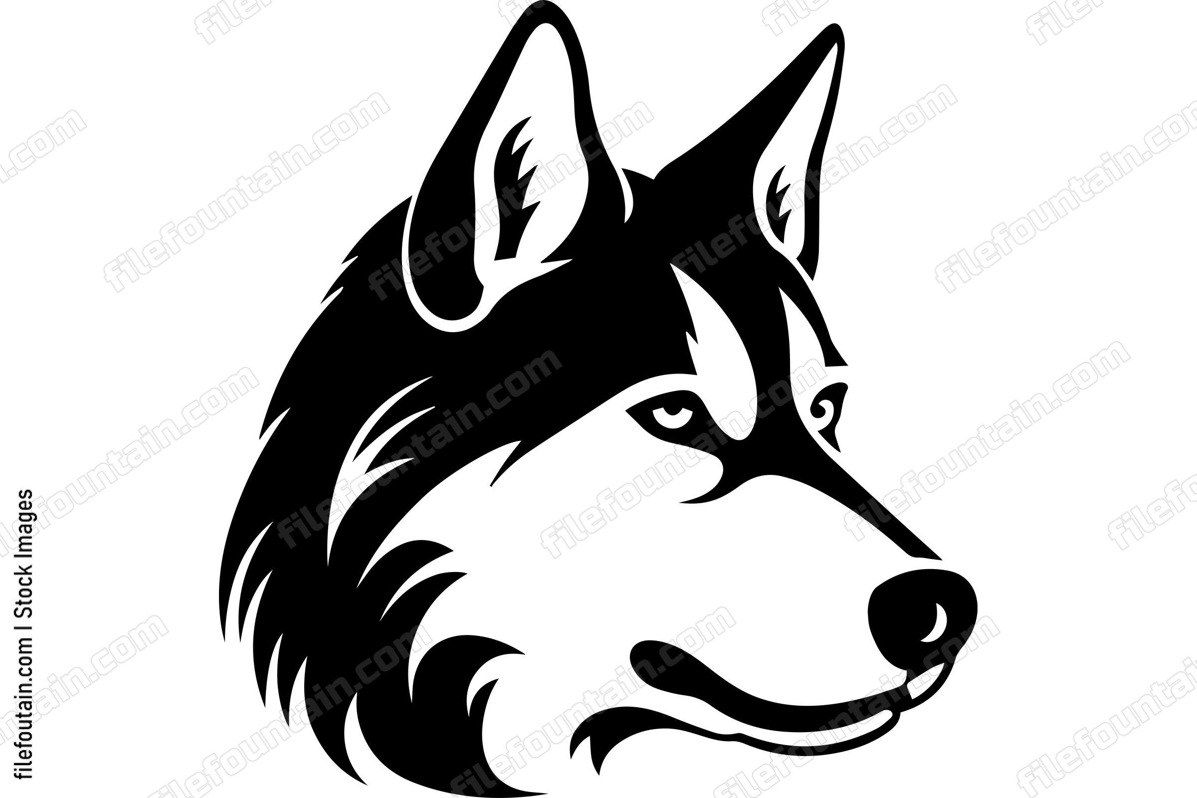 Siberian Husky