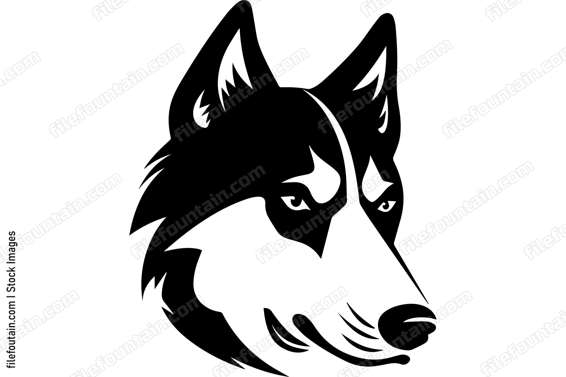 Siberian Husky