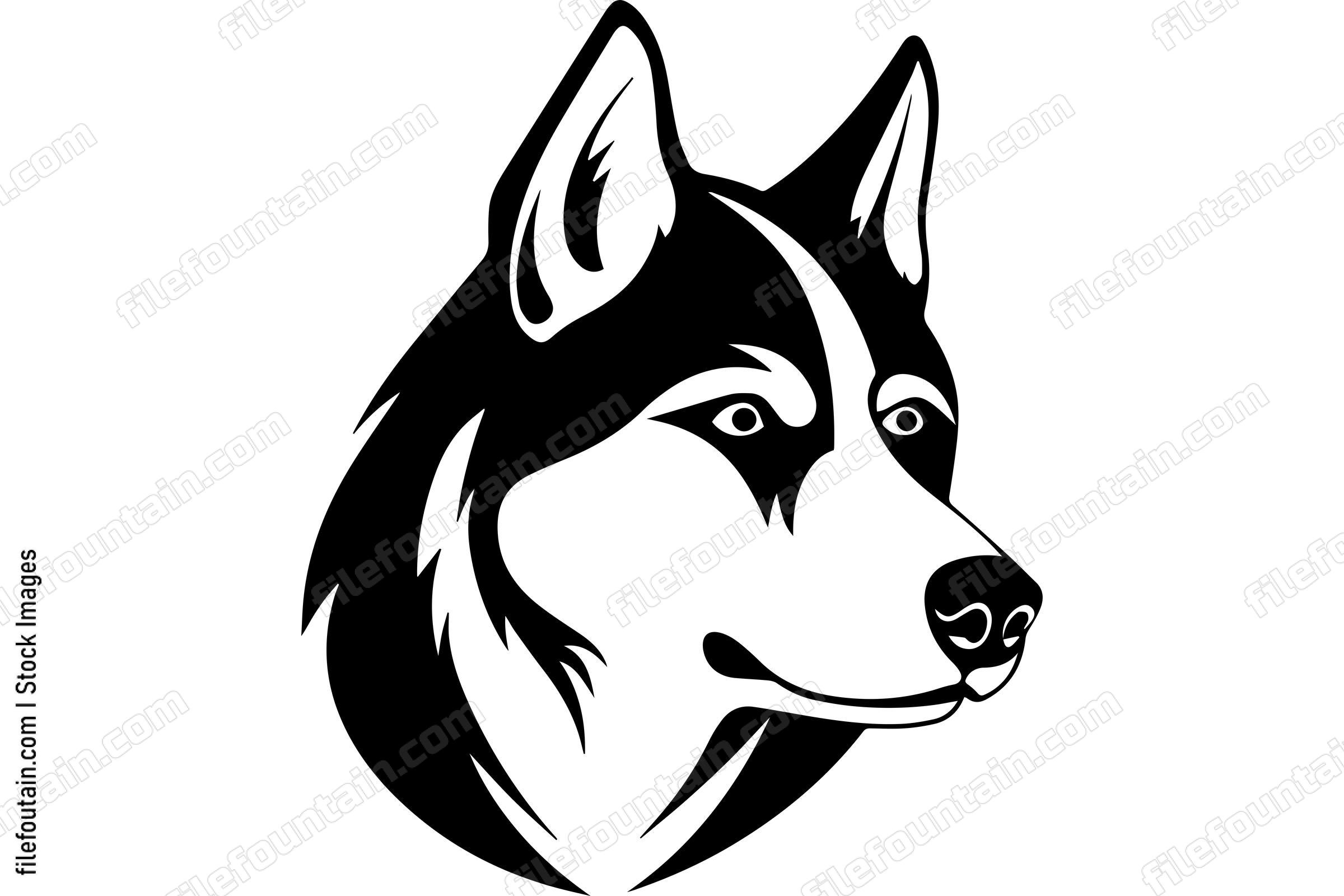Siberian Husky