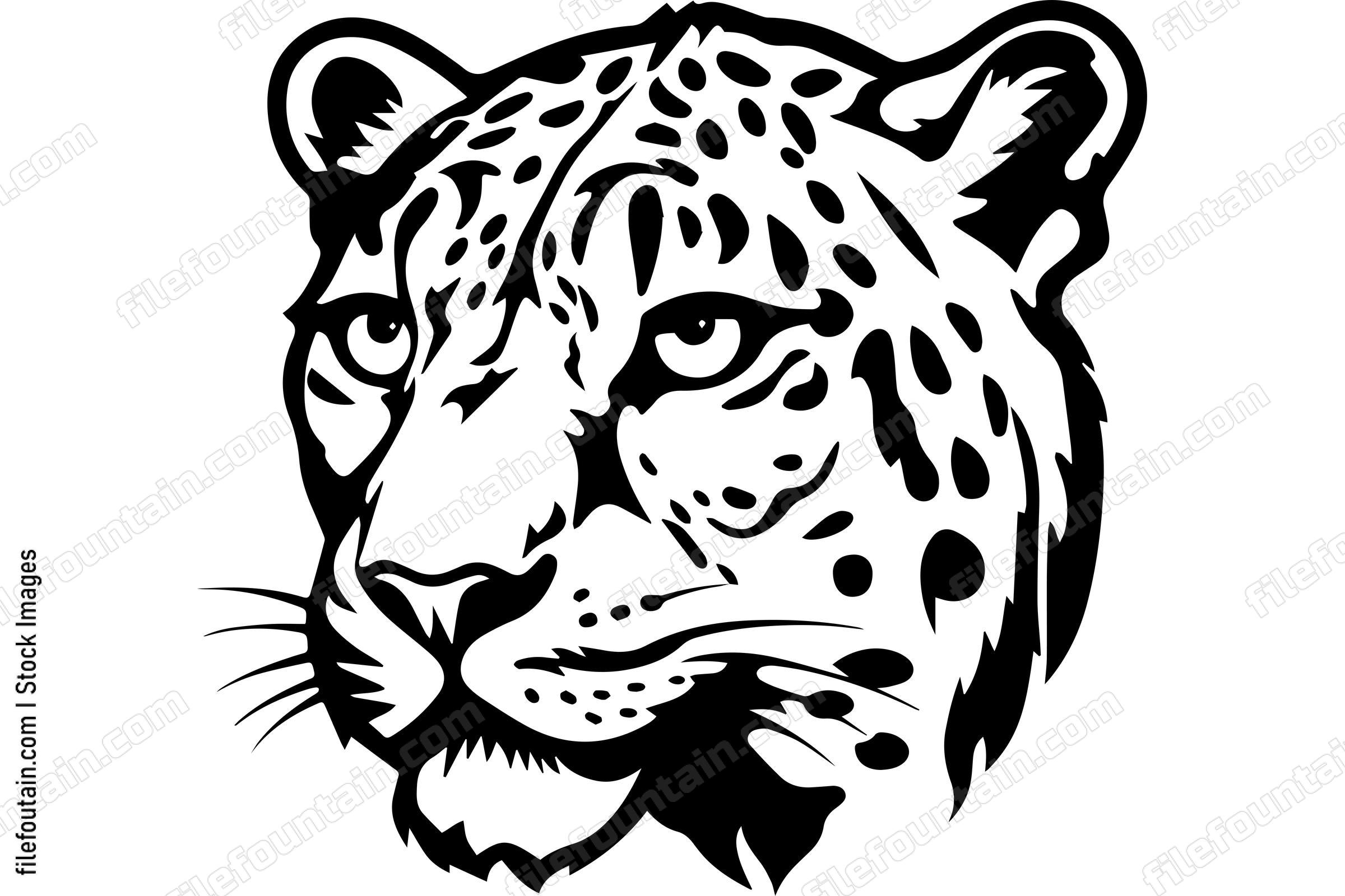 Snow Leopard