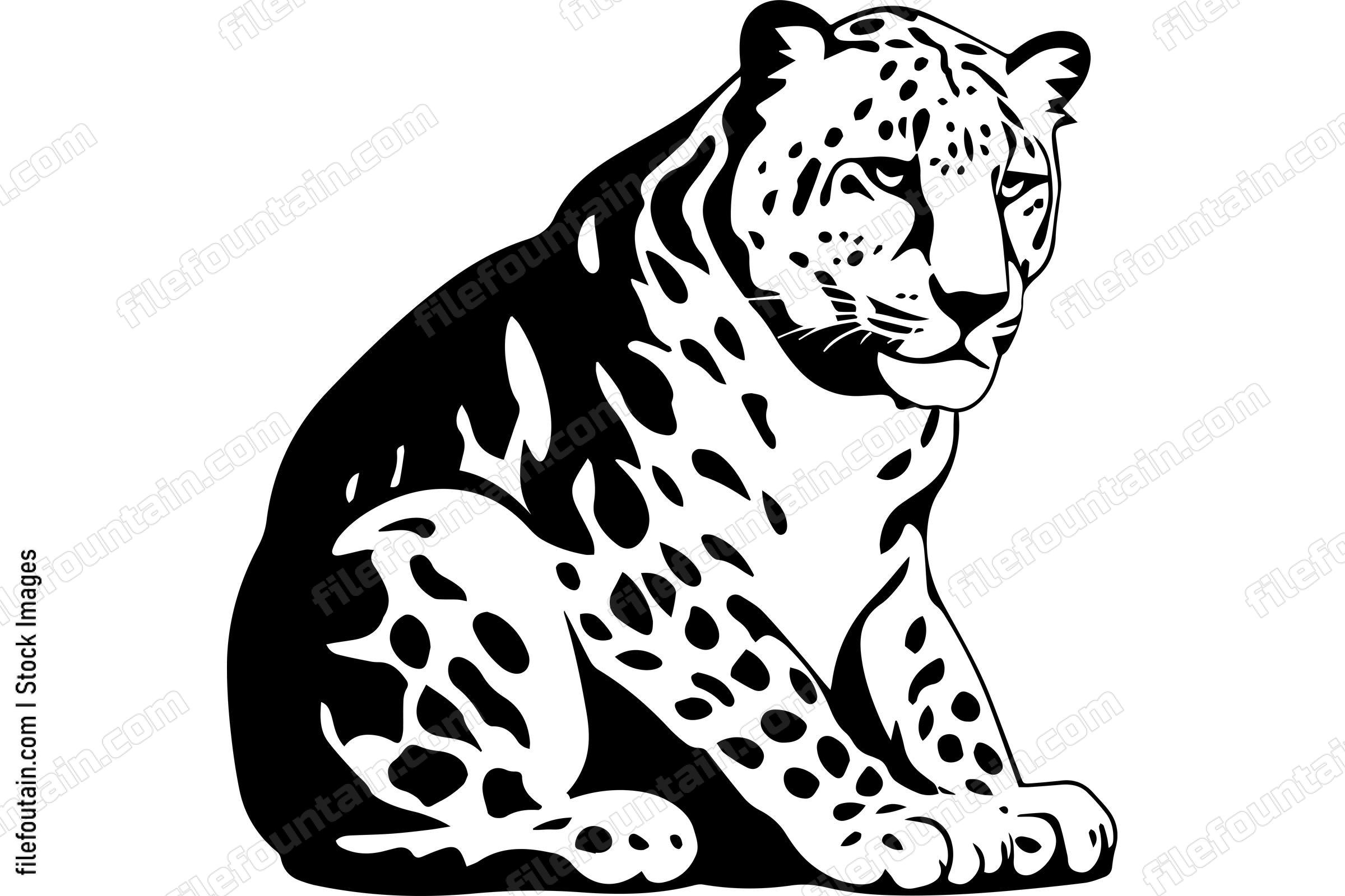 Snow Leopard