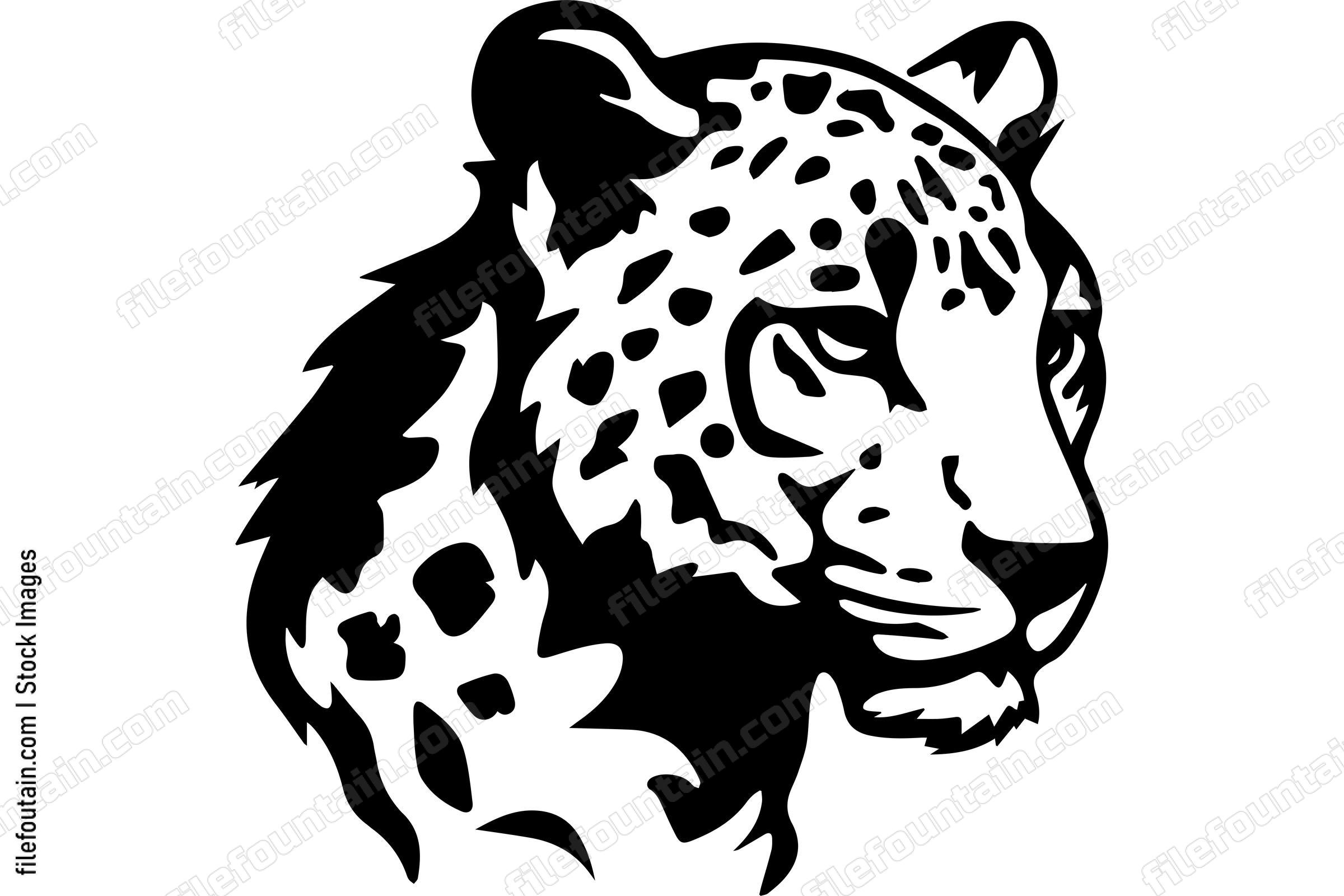 Snow Leopard