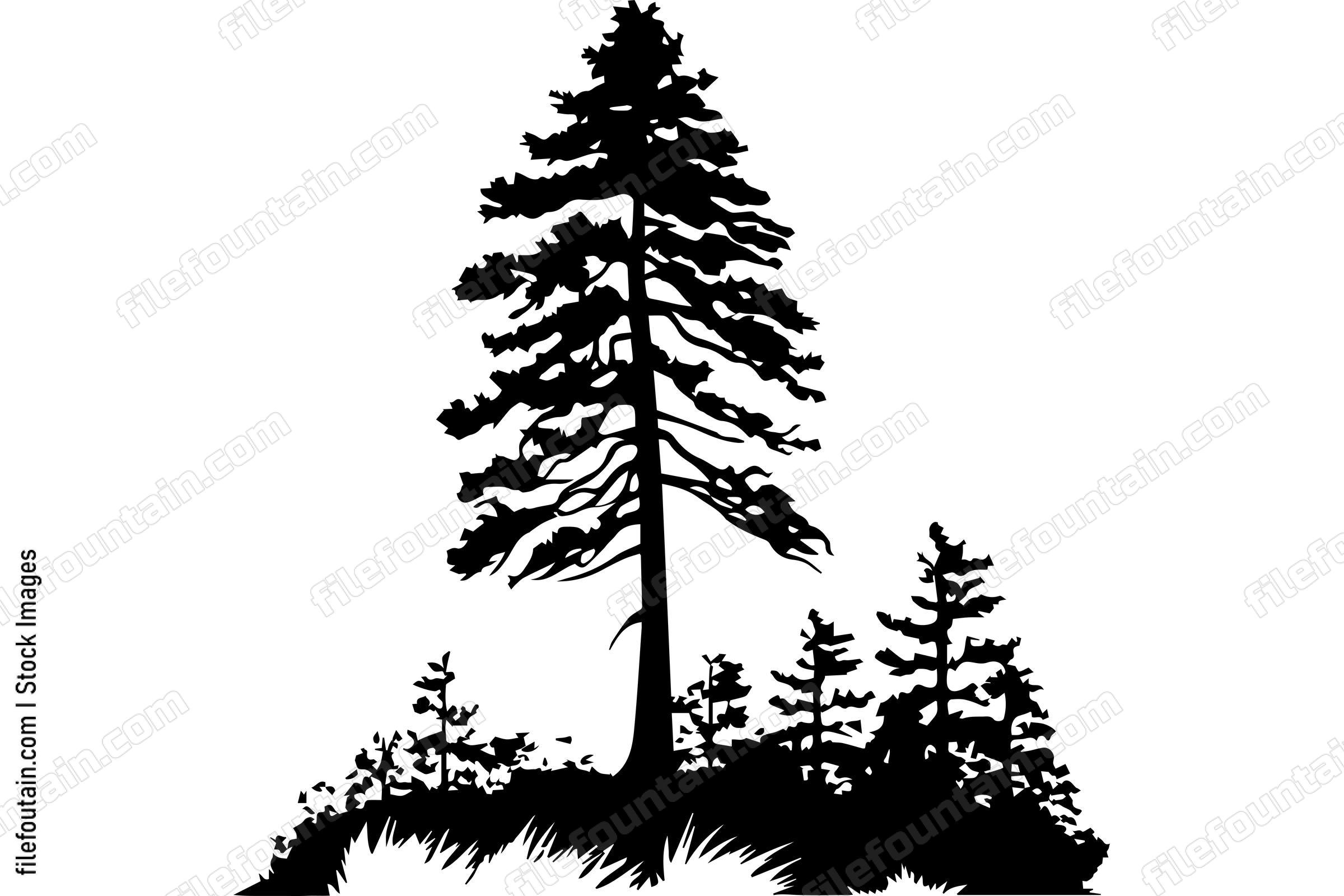 Tall Tree In A Forest