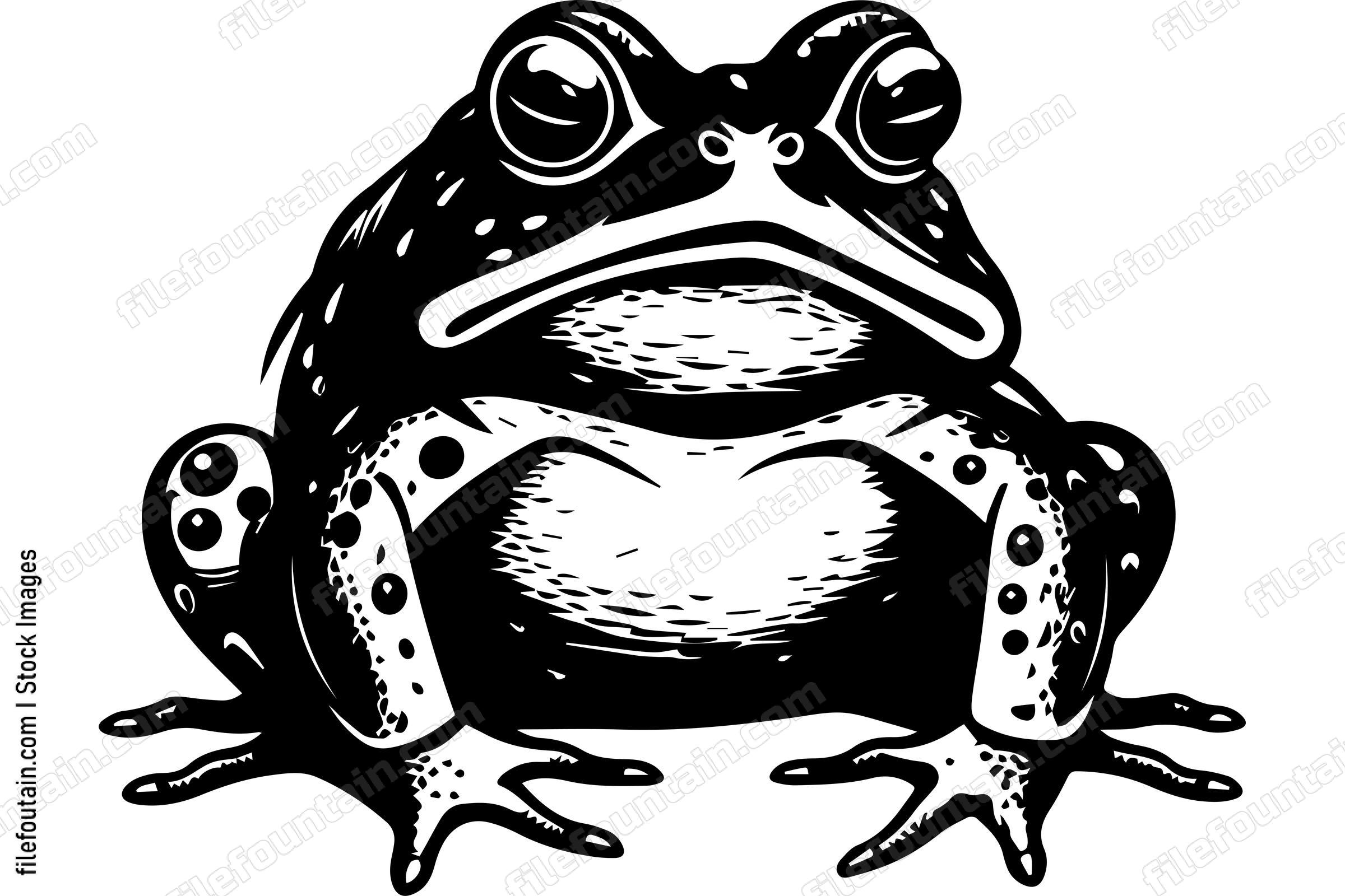 Toad Frog