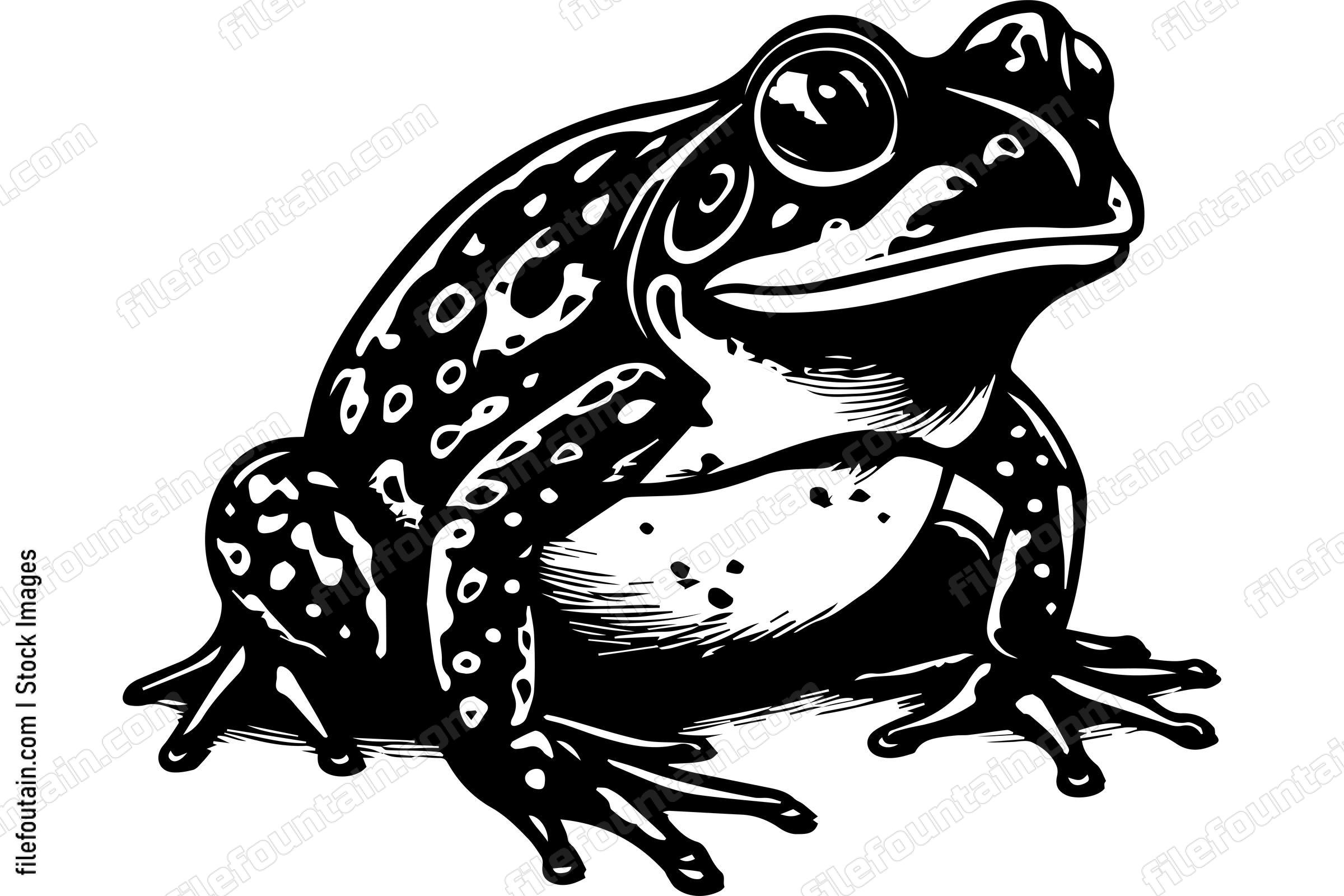 Toad Frog