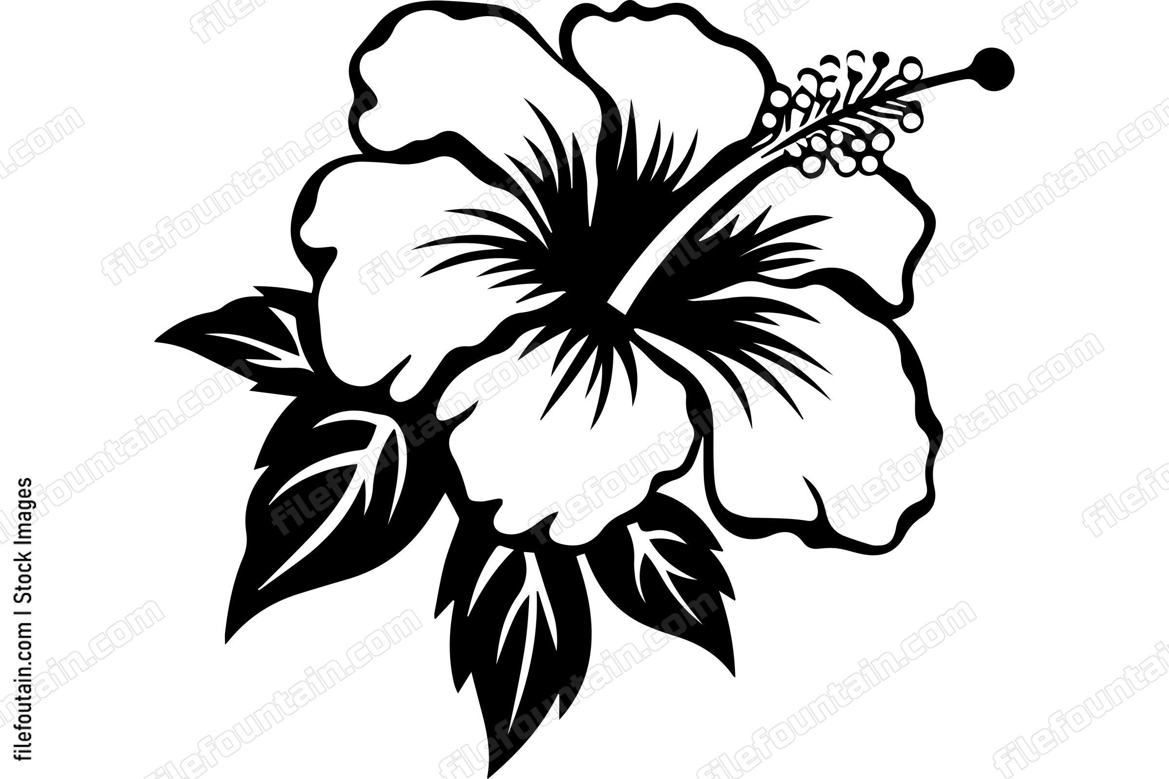 Tropical Hibiscus