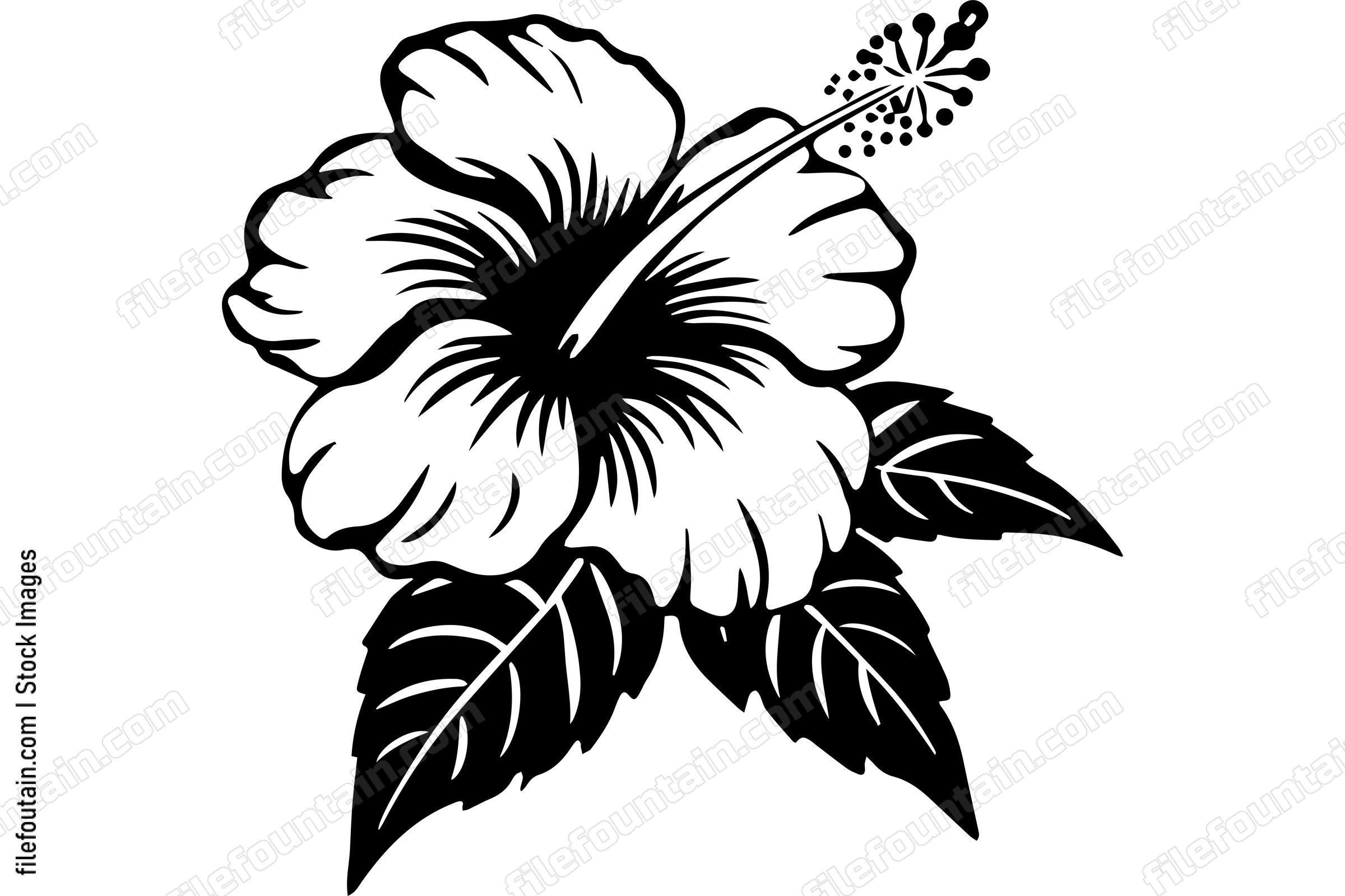 Tropical Hibiscus