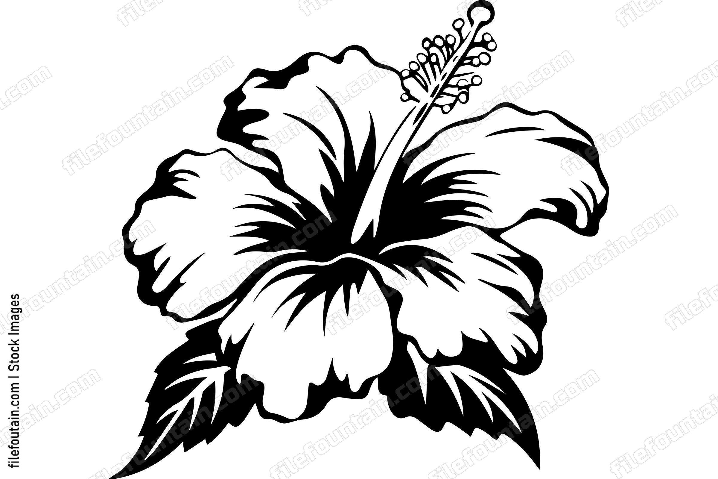 Tropical Hibiscus