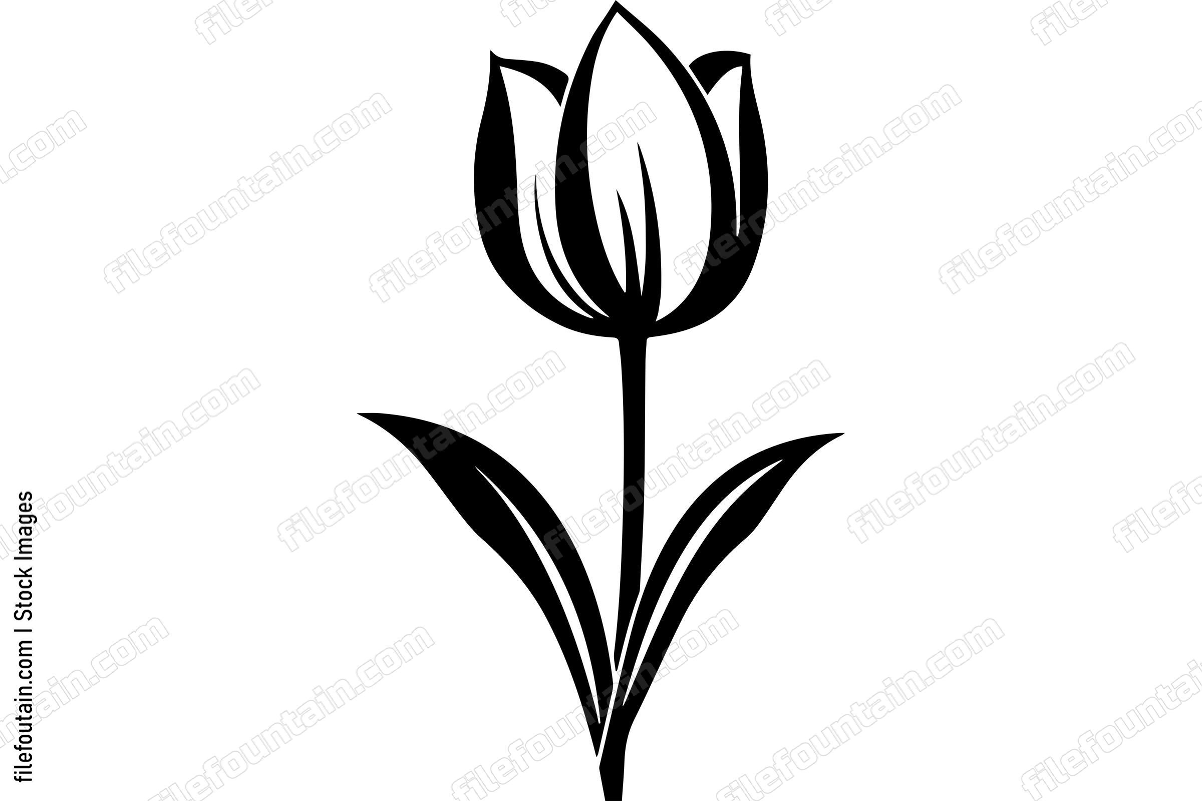 Tulip