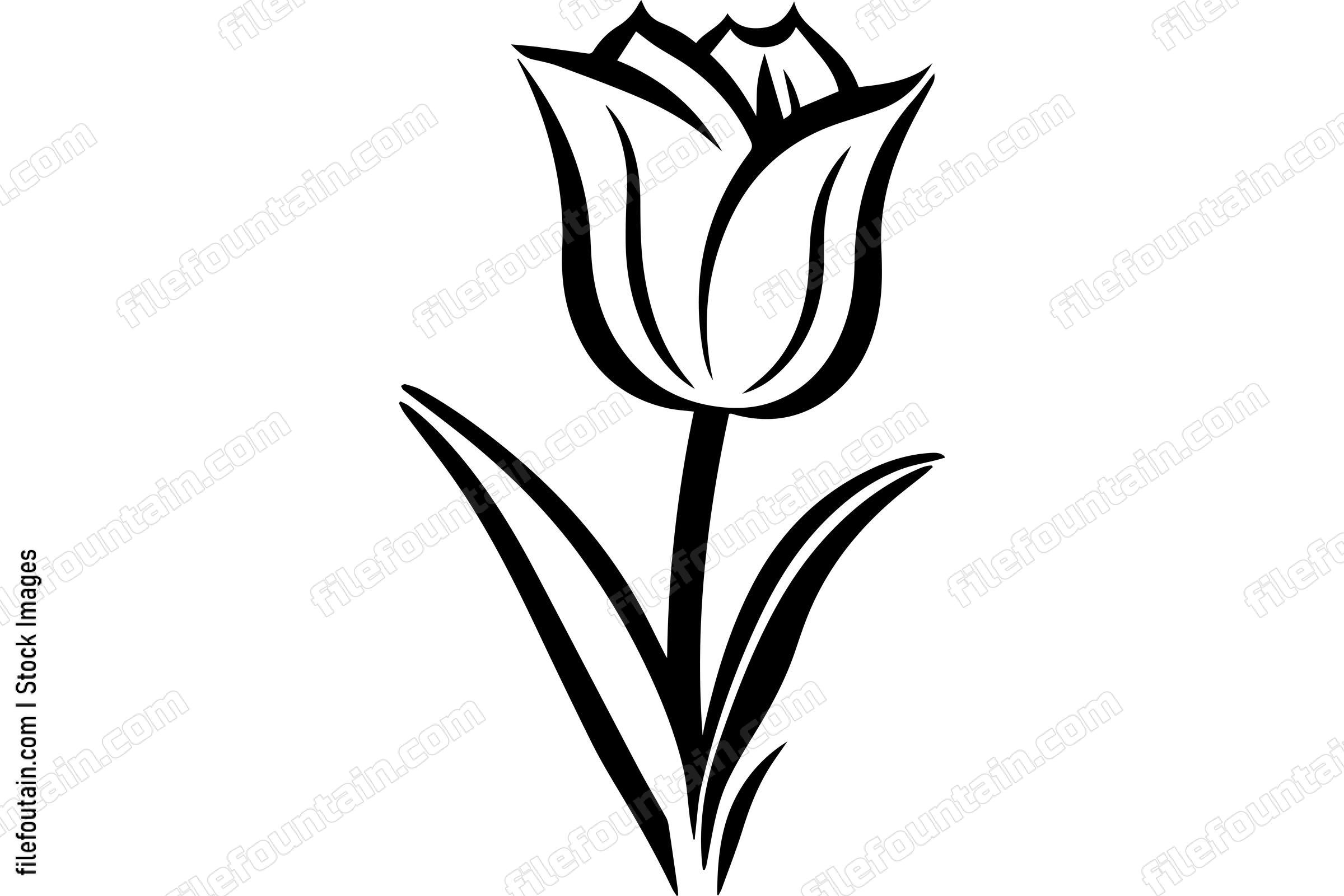 Tulip