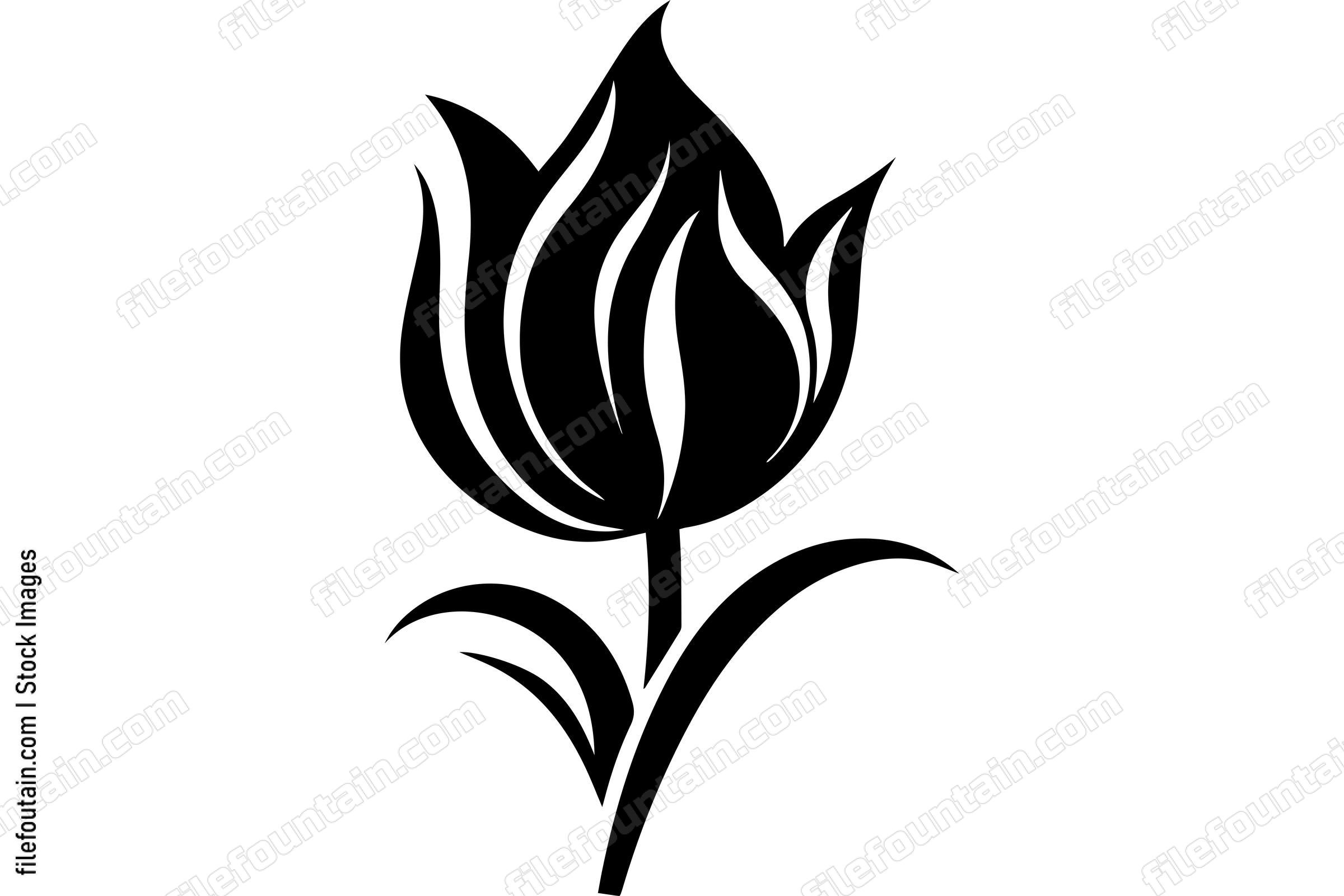 Tulip Flower