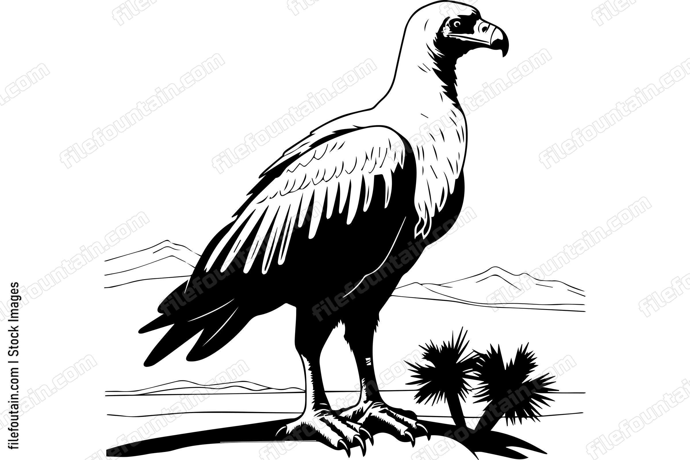 Vulture