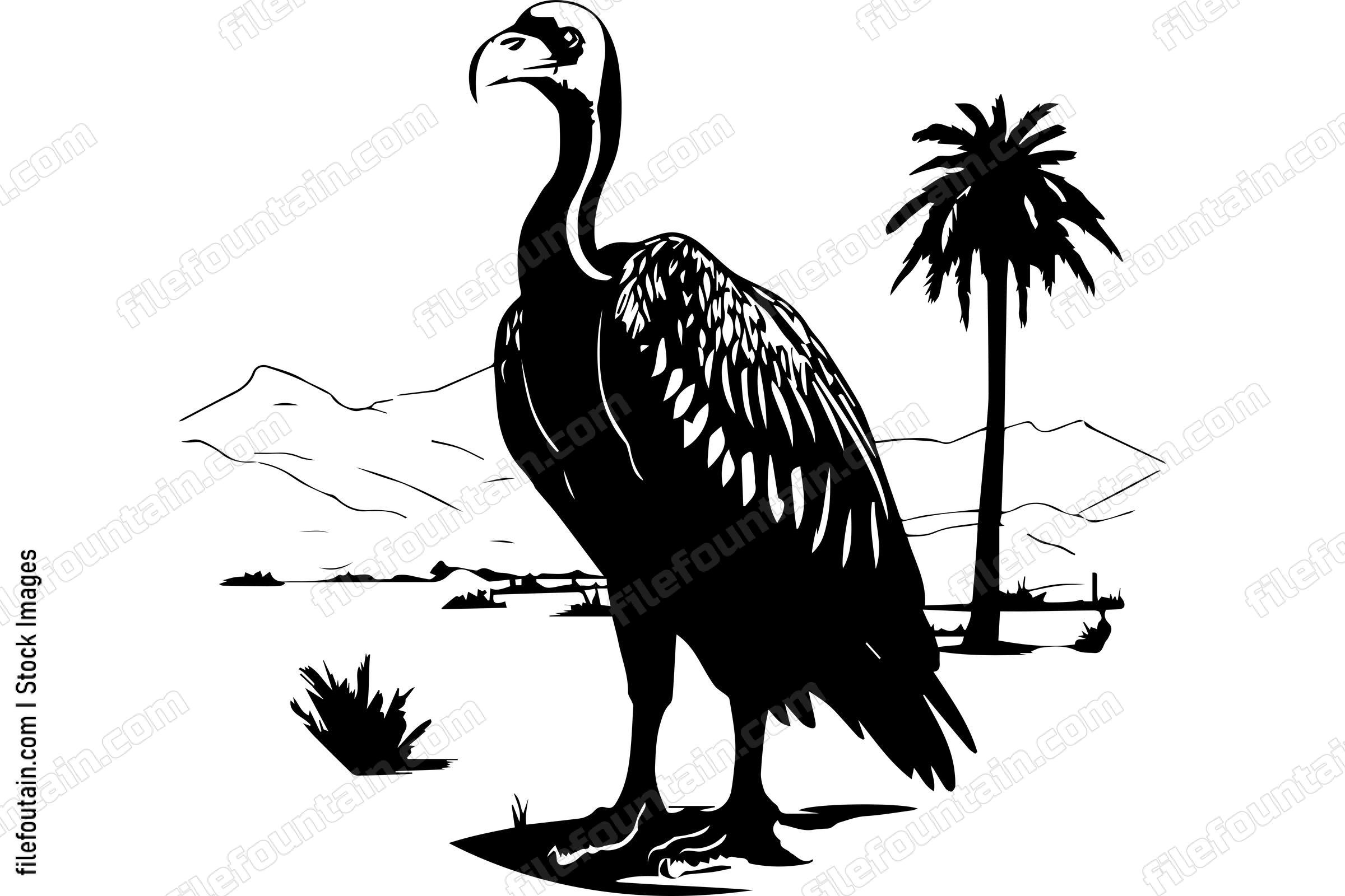 Vulture