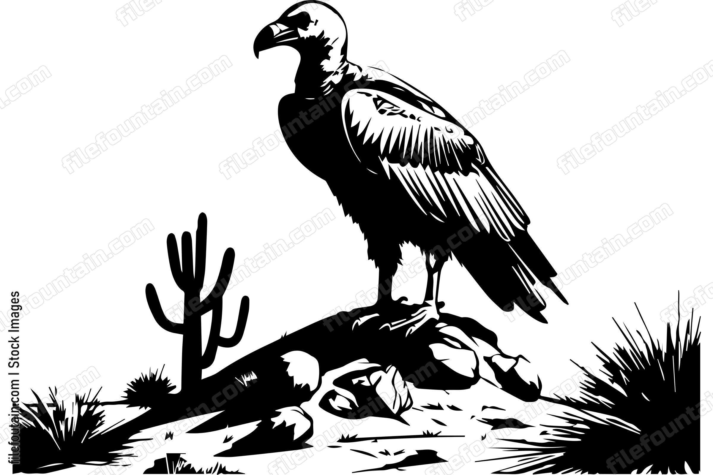 Vulture