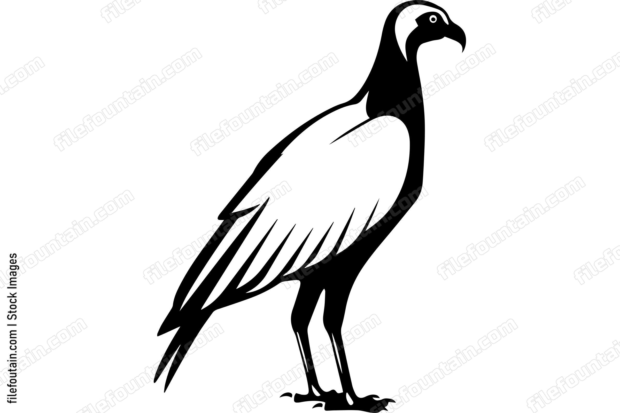 Vulture