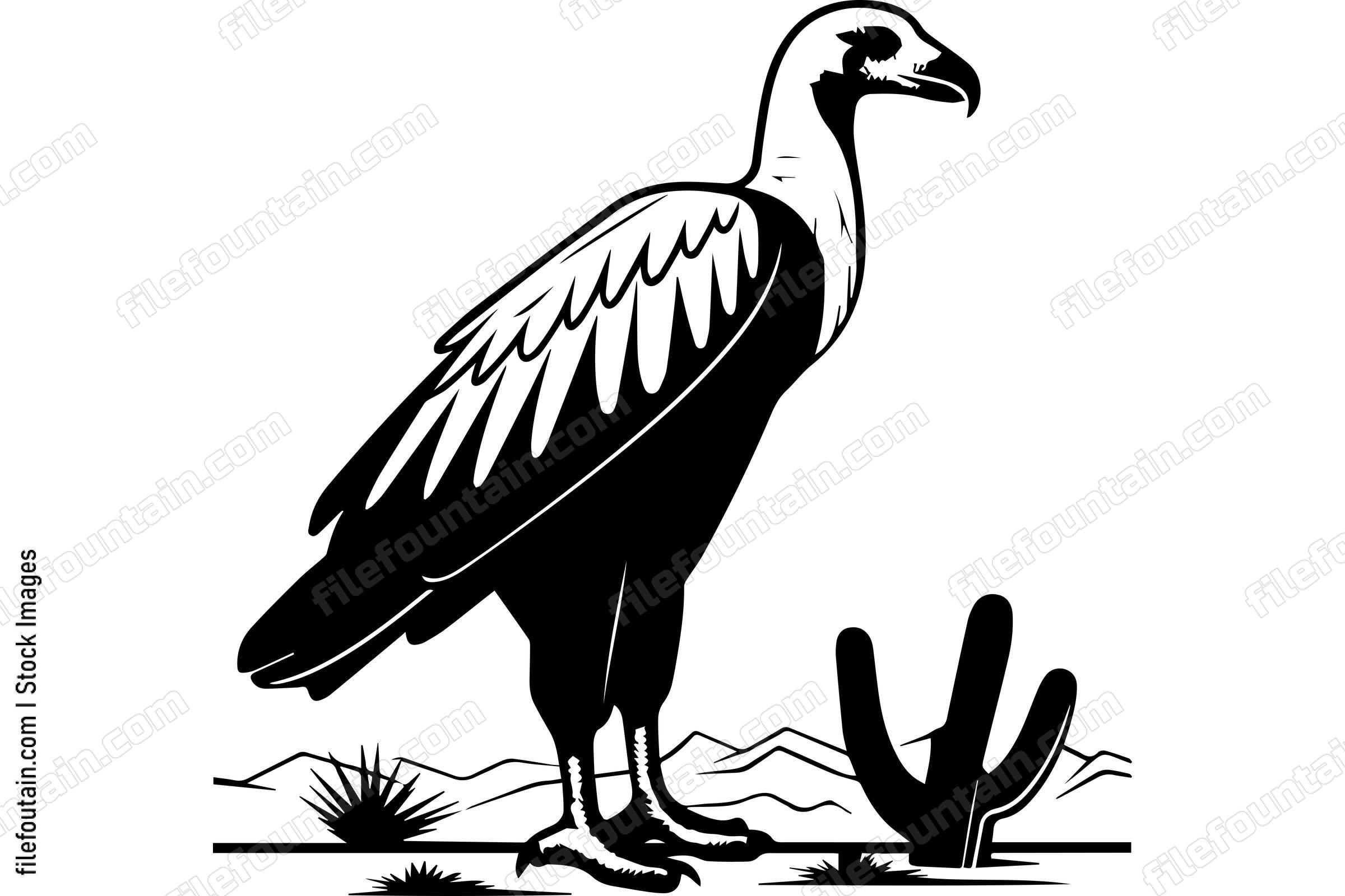 Vulture