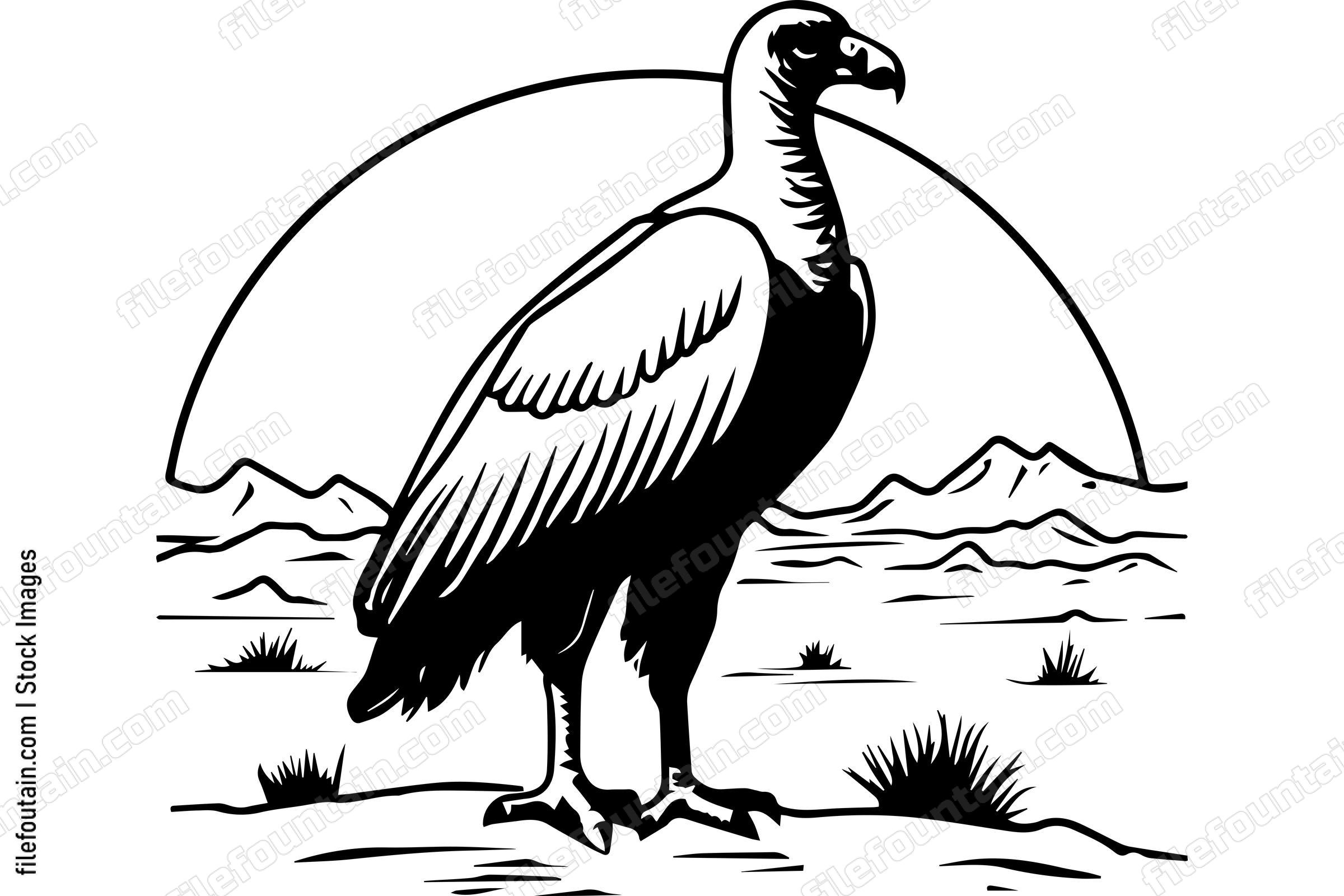 Vulture