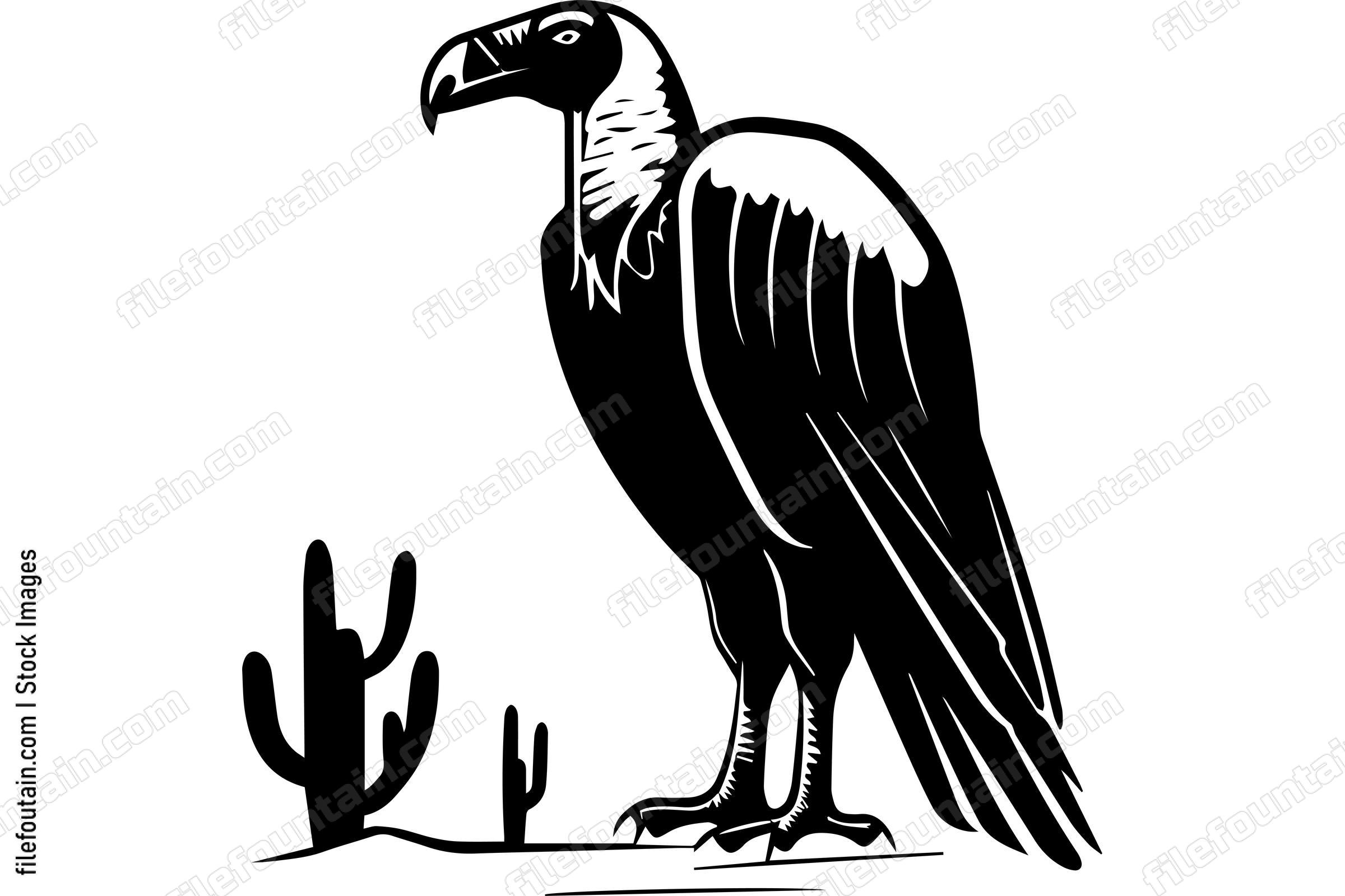 Vulture