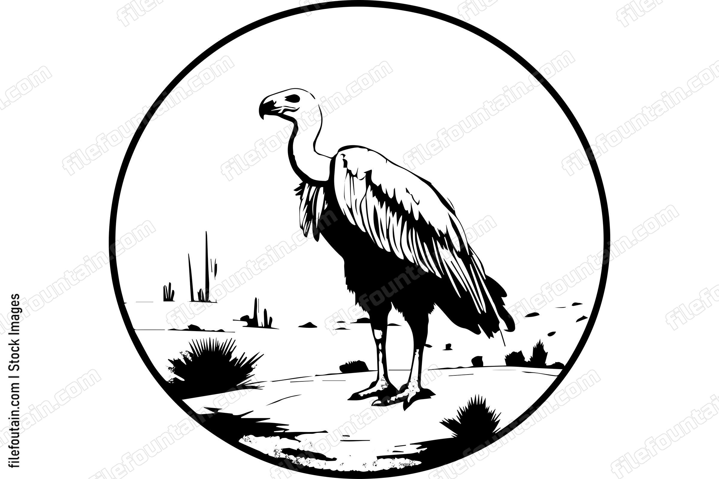 Vulture