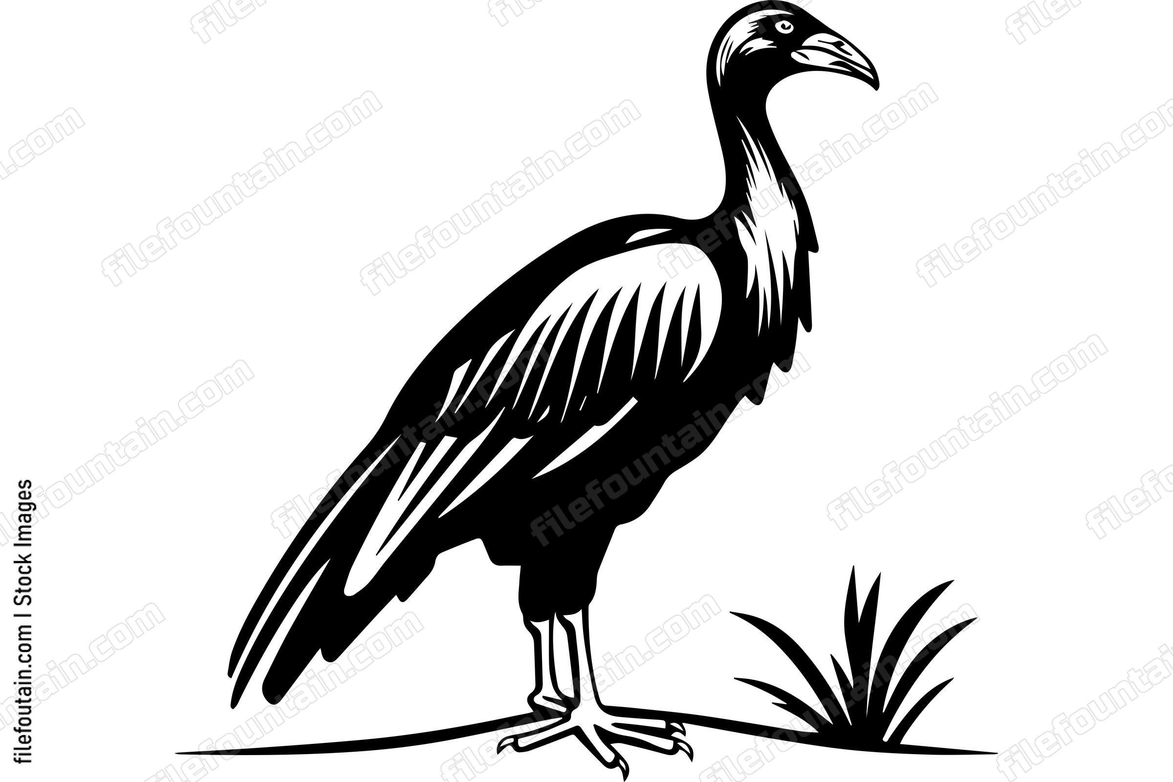 Vulture