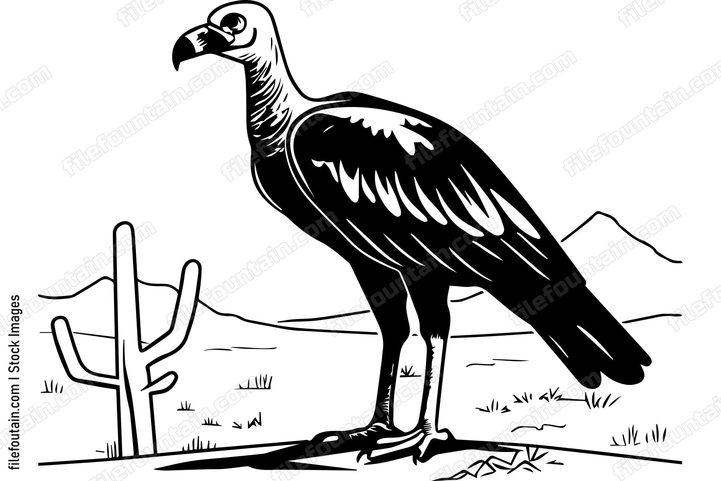 Vulture
