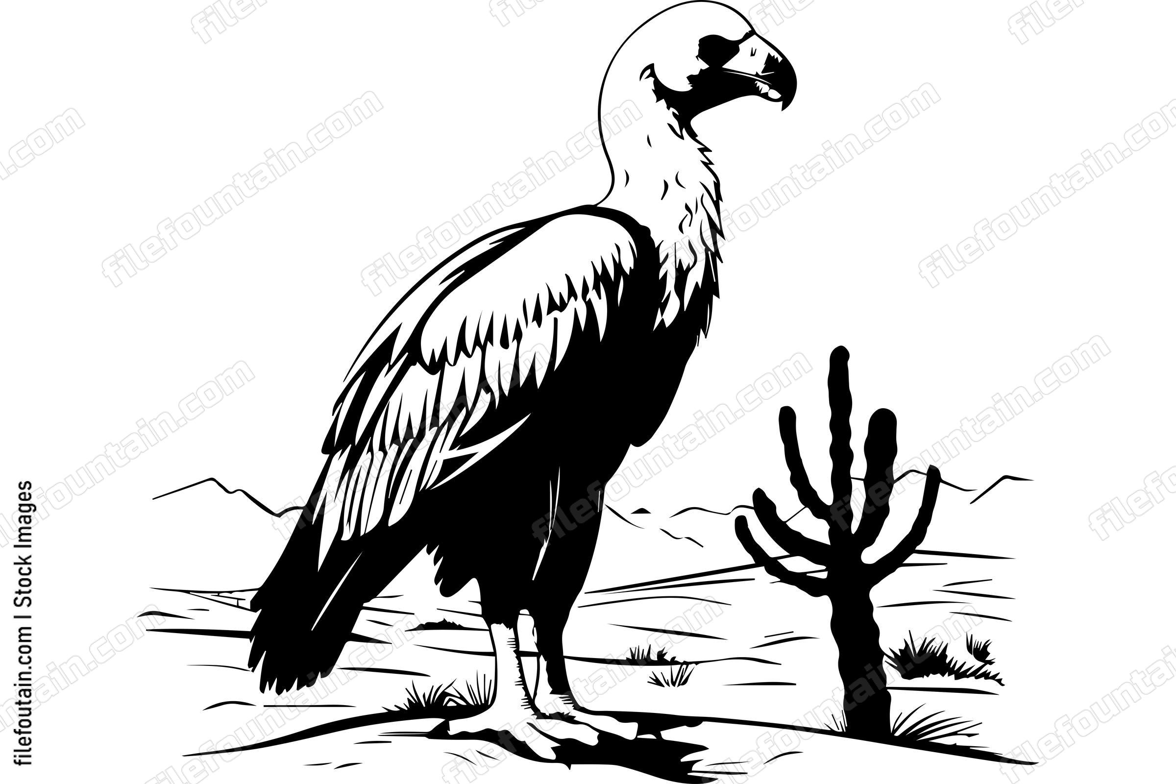 Vulture