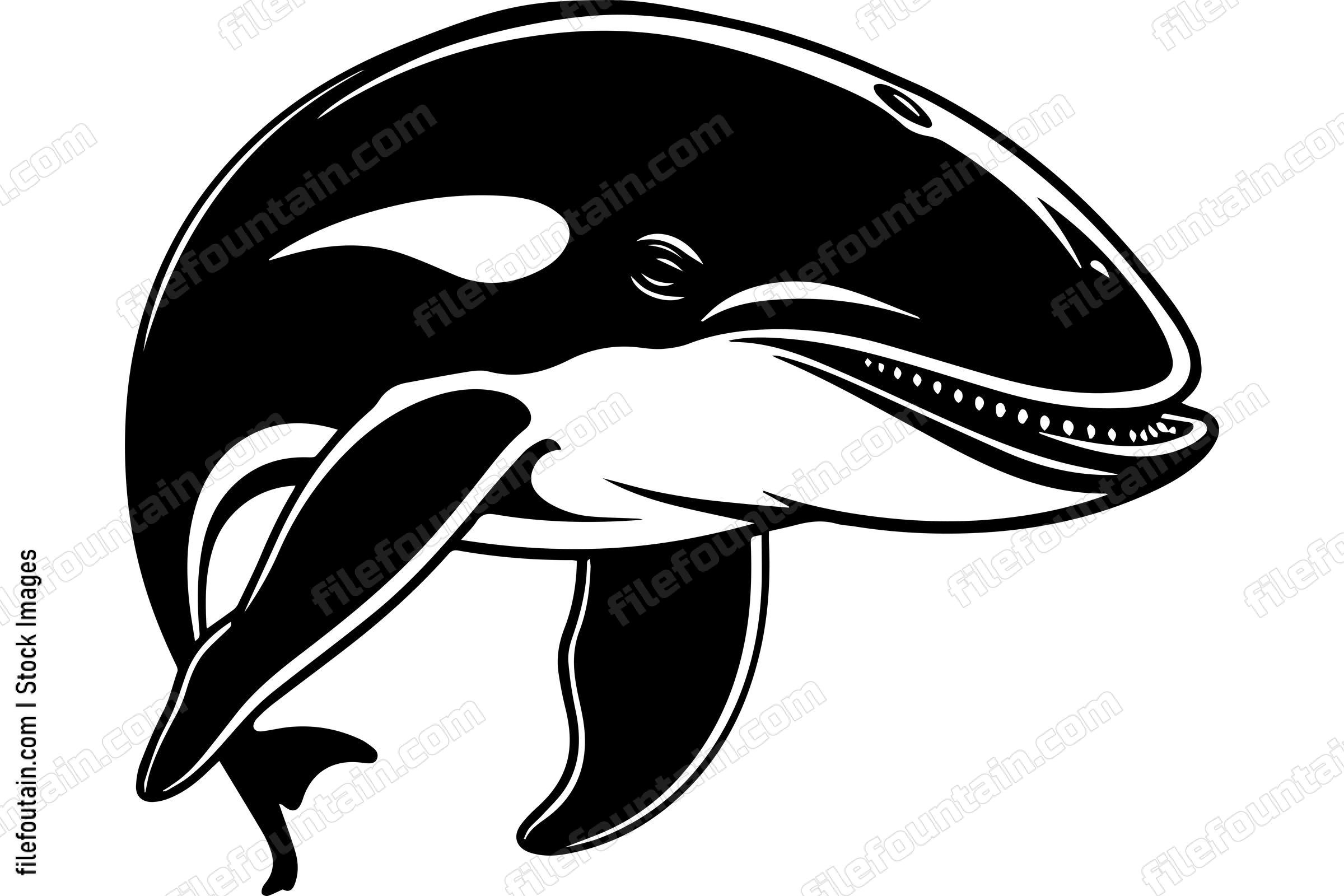 Whale