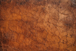 Aged Leather