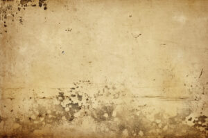 Beige Grunge Texture Background Wallpaper Design