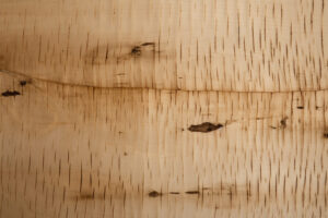 Birch wood