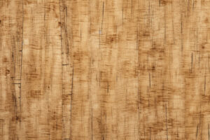 Birch wood grain