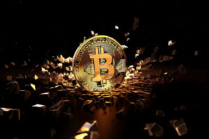 Bitcoin Puzzle Pieces