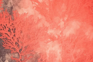 Coral Grunge Texture Background Wallpaper Design