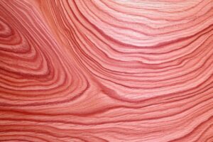 Dogwood wood grain