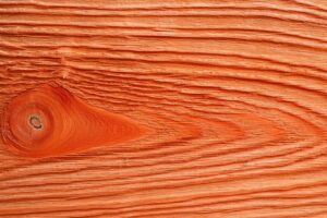 Douglas fir wood grain