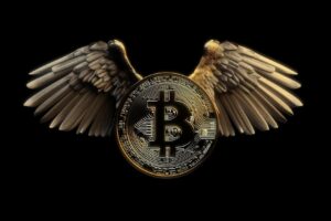 Flying Bitcoin With Wings