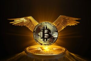 Flying Bitcoin With Wings