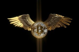 Flying Bitcoin With Wings
