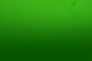 Green Texture Background Wallpaper Design