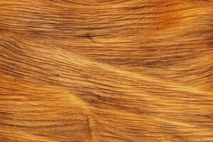 Linden wood grain