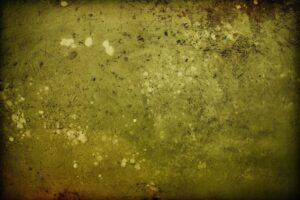 Olive Green Grunge Texture Background Wallpaper Design