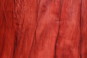 Red maple wood grain